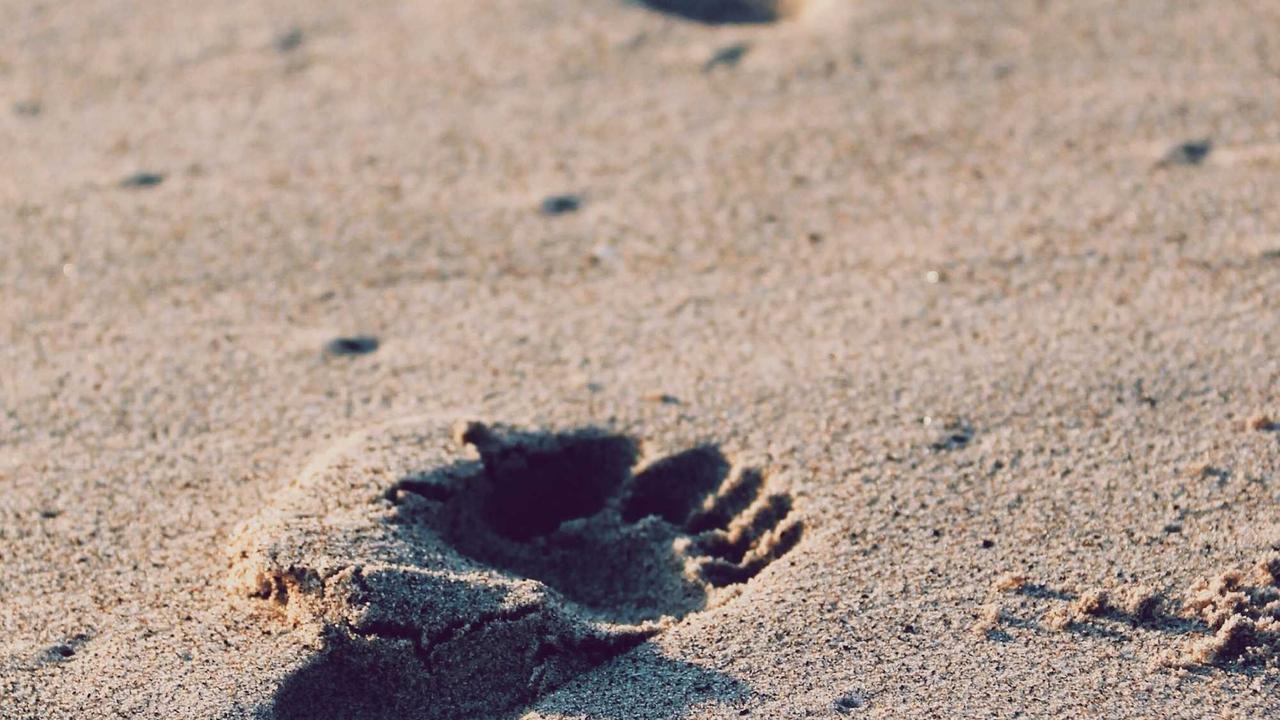 소래포구 먹거리 완벽 가이드: 제철 해산물부터 바가지 없는 맛집 꿀팁까지