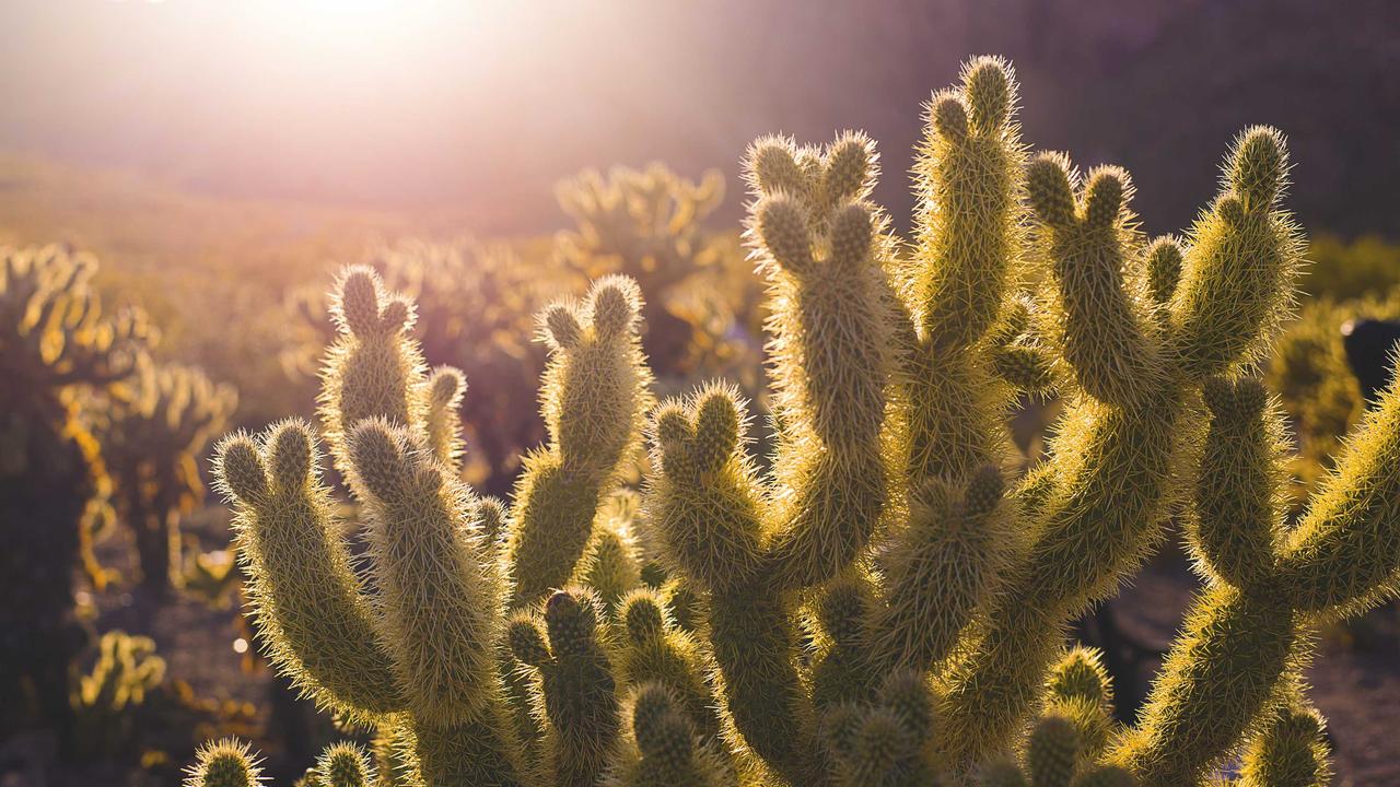 탄탄한 코어, 전신 건강의 시작! 초보자부터 상급자까지 완벽 코어 운동 가이드