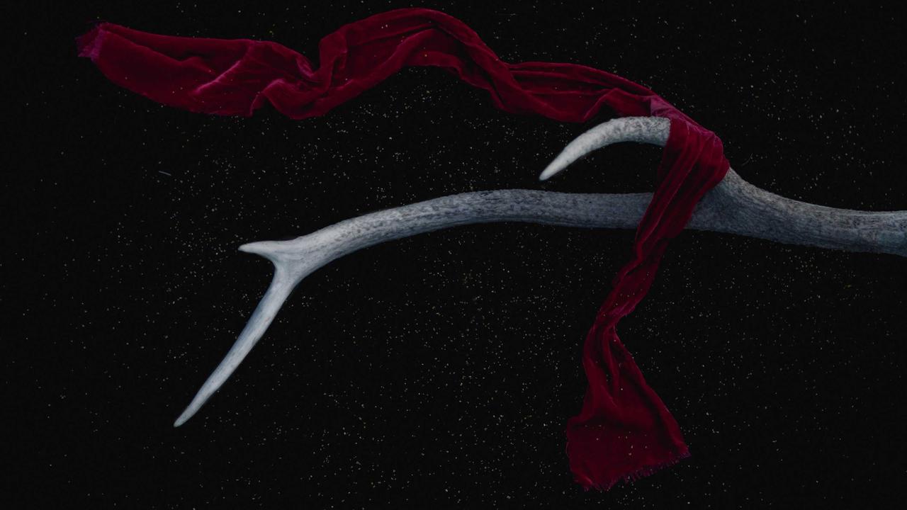 북촌손만두 메뉴 추천부터 방문 꿀팁까지: 인사동 명물의 맛을 파헤치다