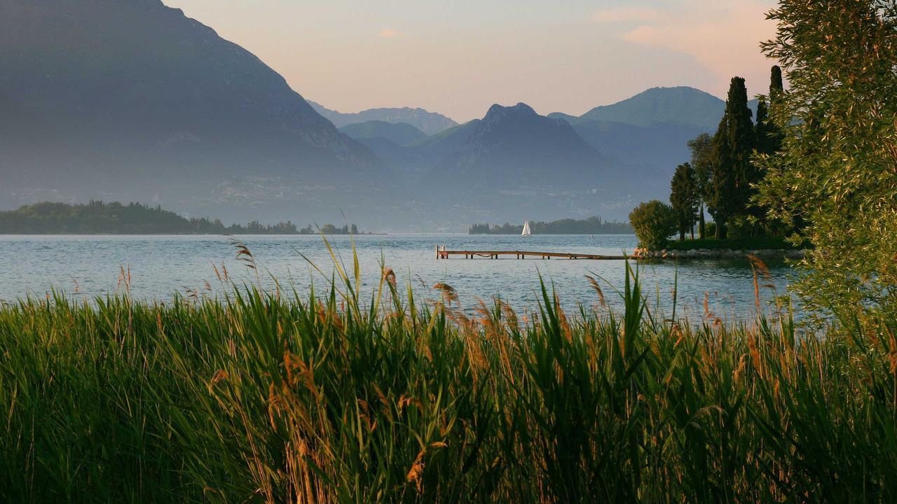 검은사막 지도의 안개를 걷는 완벽 가이드: 탐험 거점부터 지식 습득까지