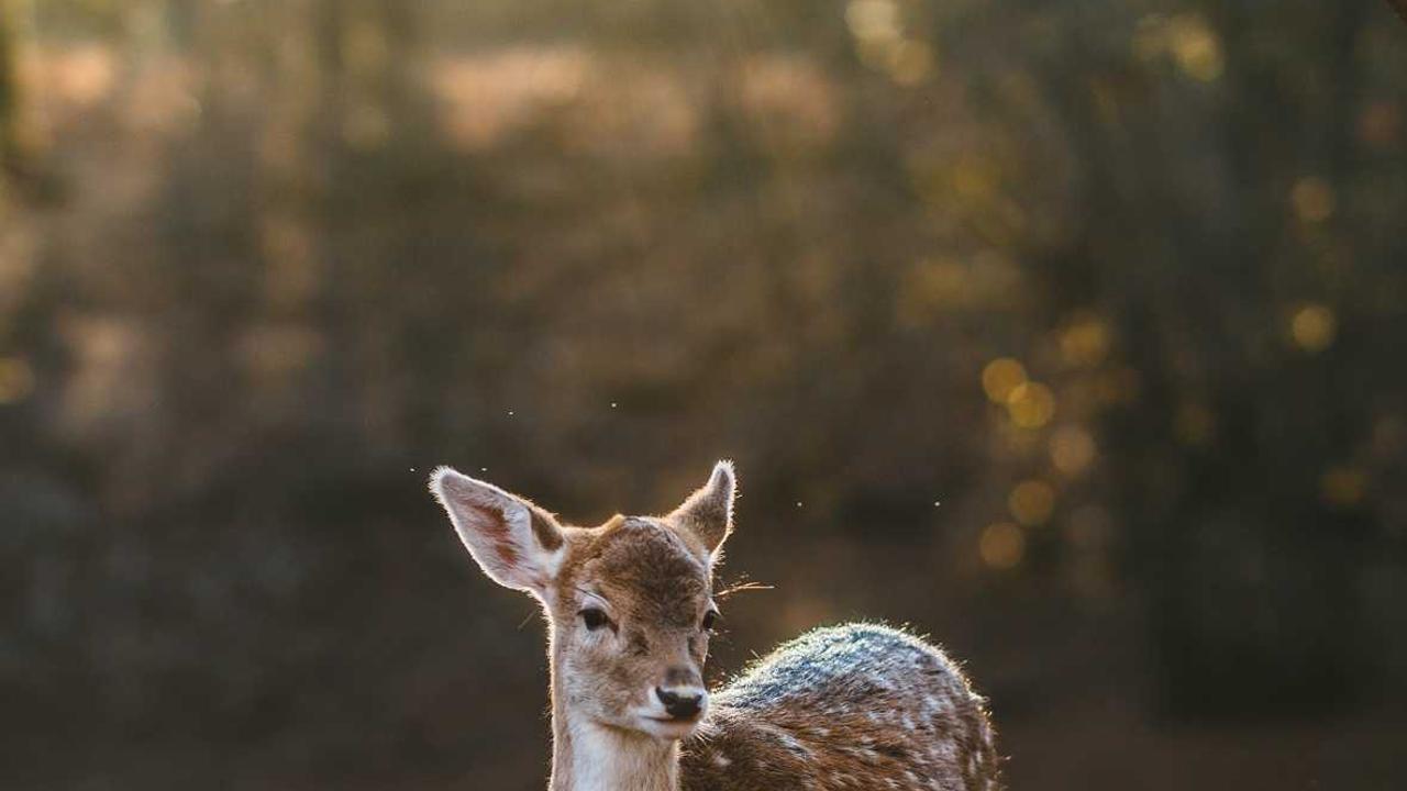 내일배움카드 자격증 추천 및 신청 자격 총정리: 100% 활용 가이드